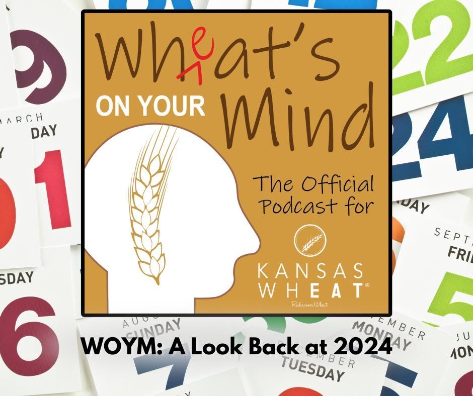 A Look Back at 2024 