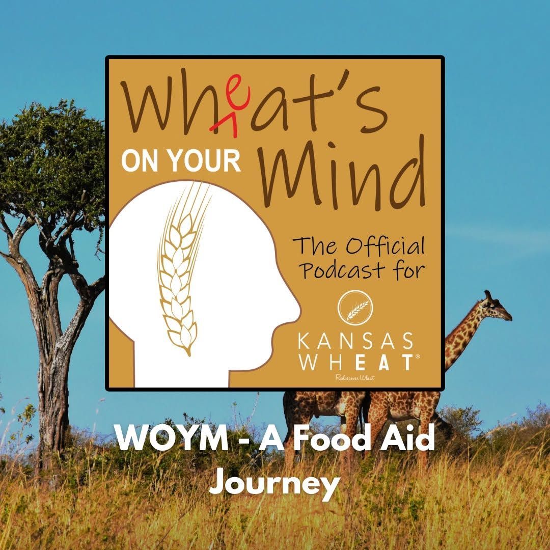 A Food Aid Journey