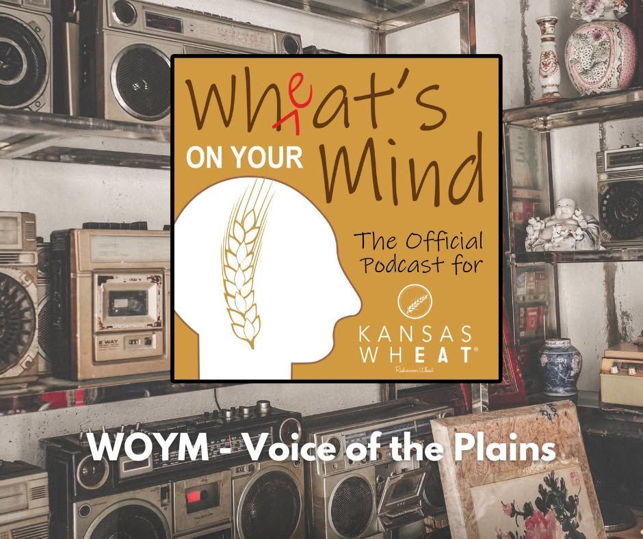 The Voice of The Plains