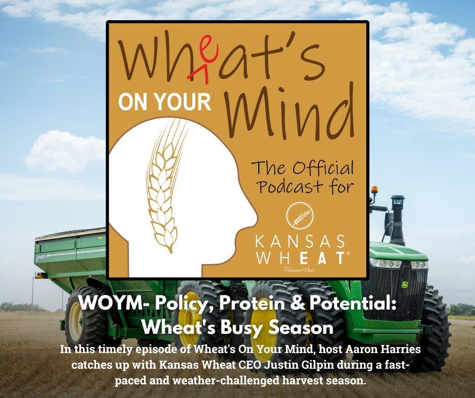 POLICY, PROTEIN & POTENTIAL: WHEAT'S BUSY SEASON 