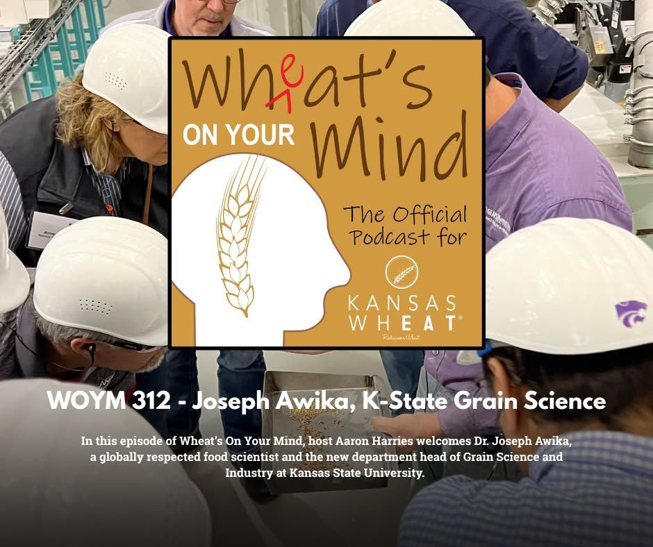 JOSEPH AWIKA, K-STATE GRAIN SCIENCE 