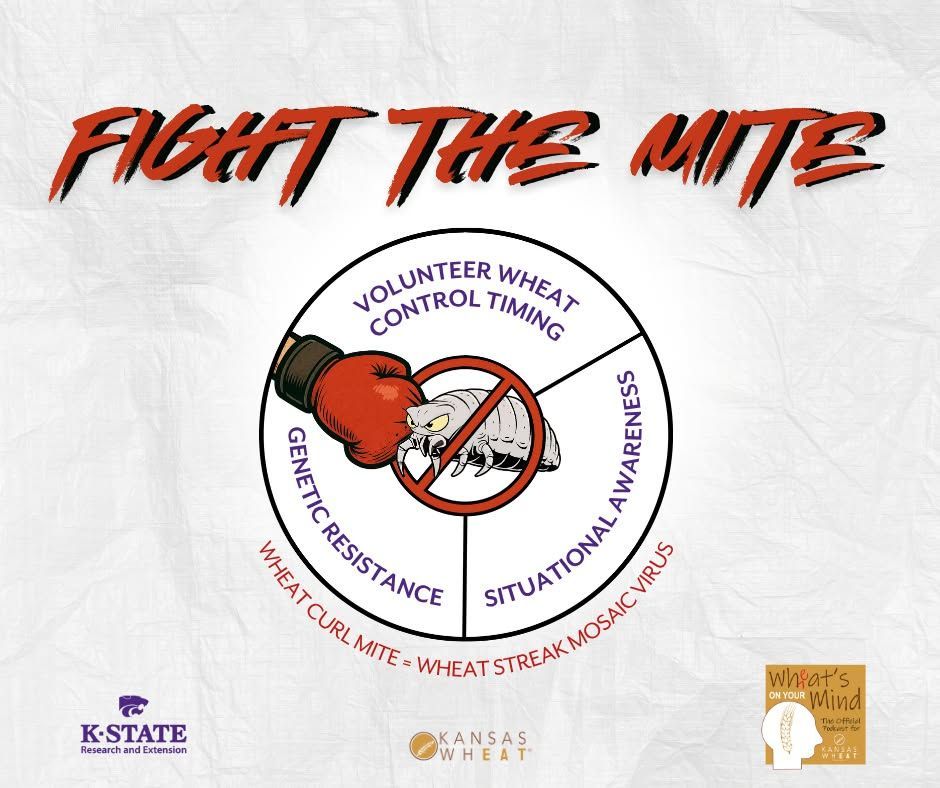 FIGHT THE MITE