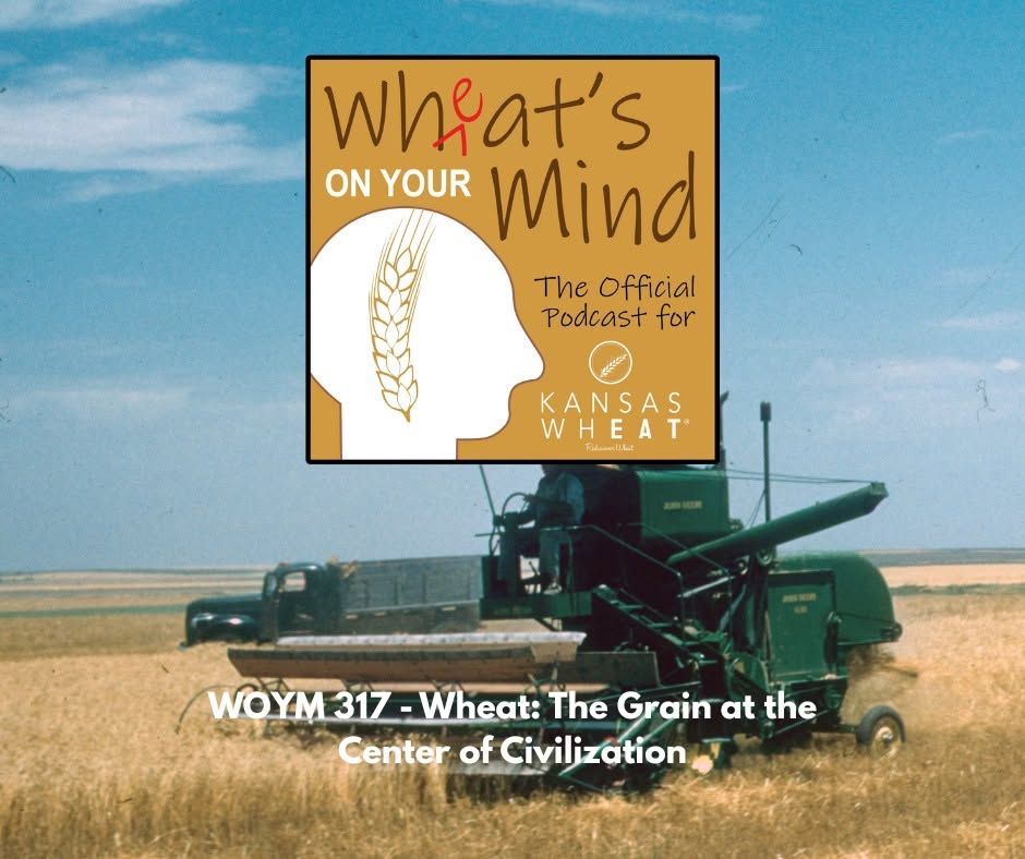 Wheat: The Grain at the Center of Civilization 