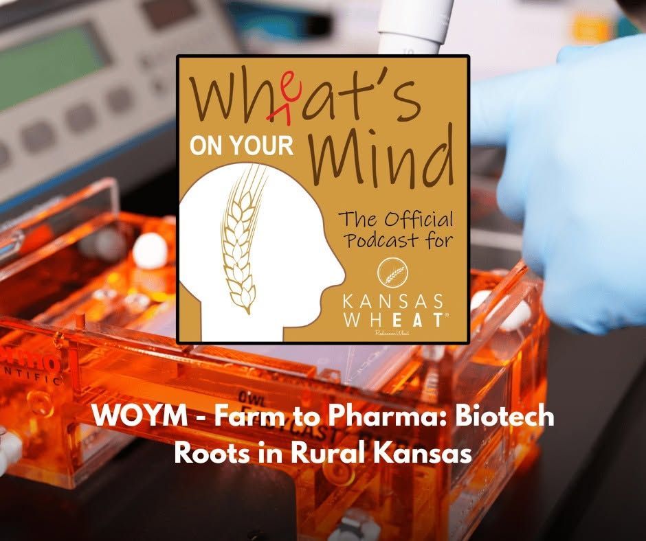 Farm to Pharma: Biotech Roots in Rural Kansas