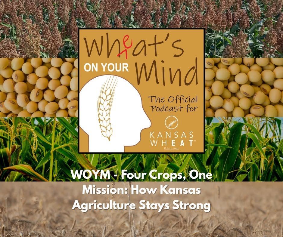 Four Crops, One Mission: How Kansas Agriculture Stays Strong