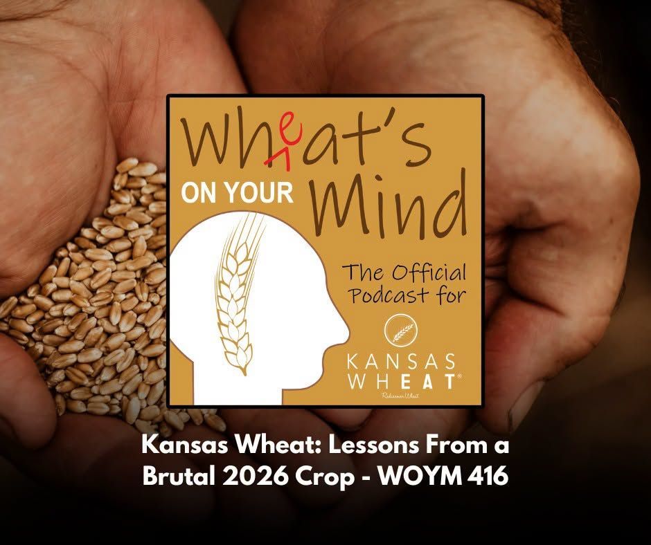 Kansas Wheat: Lessons From a Brutal 2026 Crop﻿