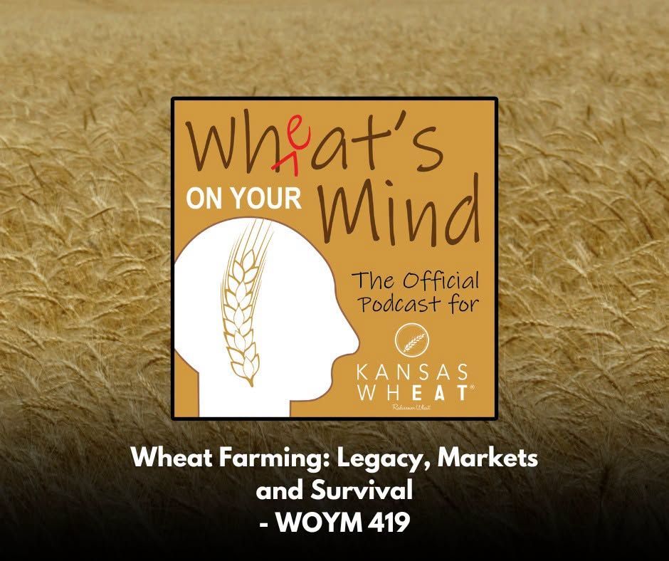 Wheat Farming: Legacy, Markets and Survival