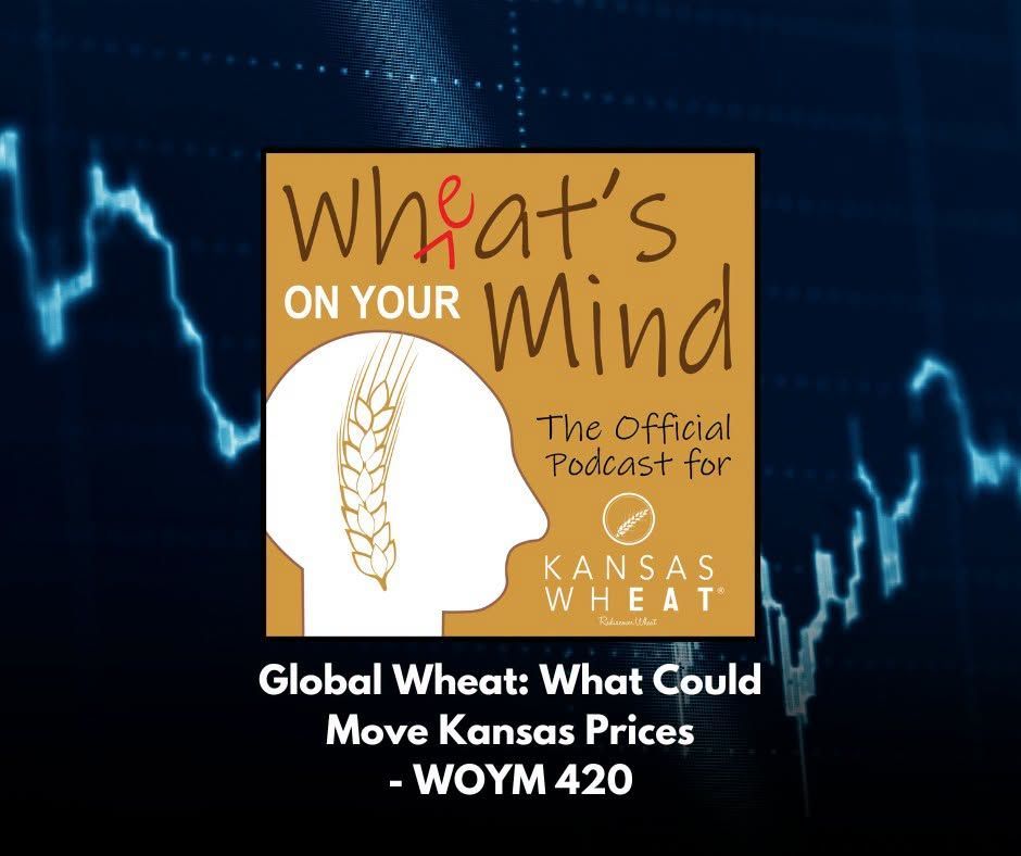 Global Wheat: What Could Move Kansas Prices