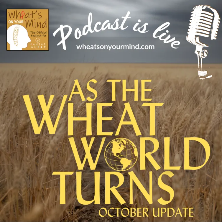 AS THE WHEAT WORLD TURNS (OCTOBER 2023 UPDATE)