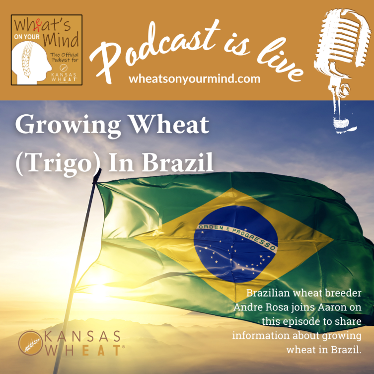 A poster for a podcast about growing wheat in brazil for wheat
podcast for kansas wheat agriculture