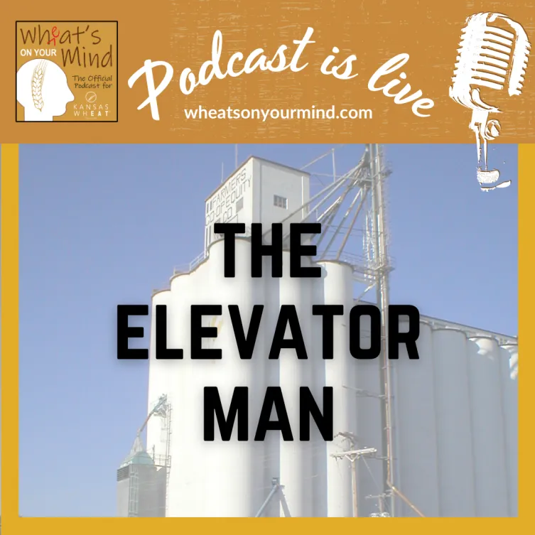THE ELEVATOR MAN