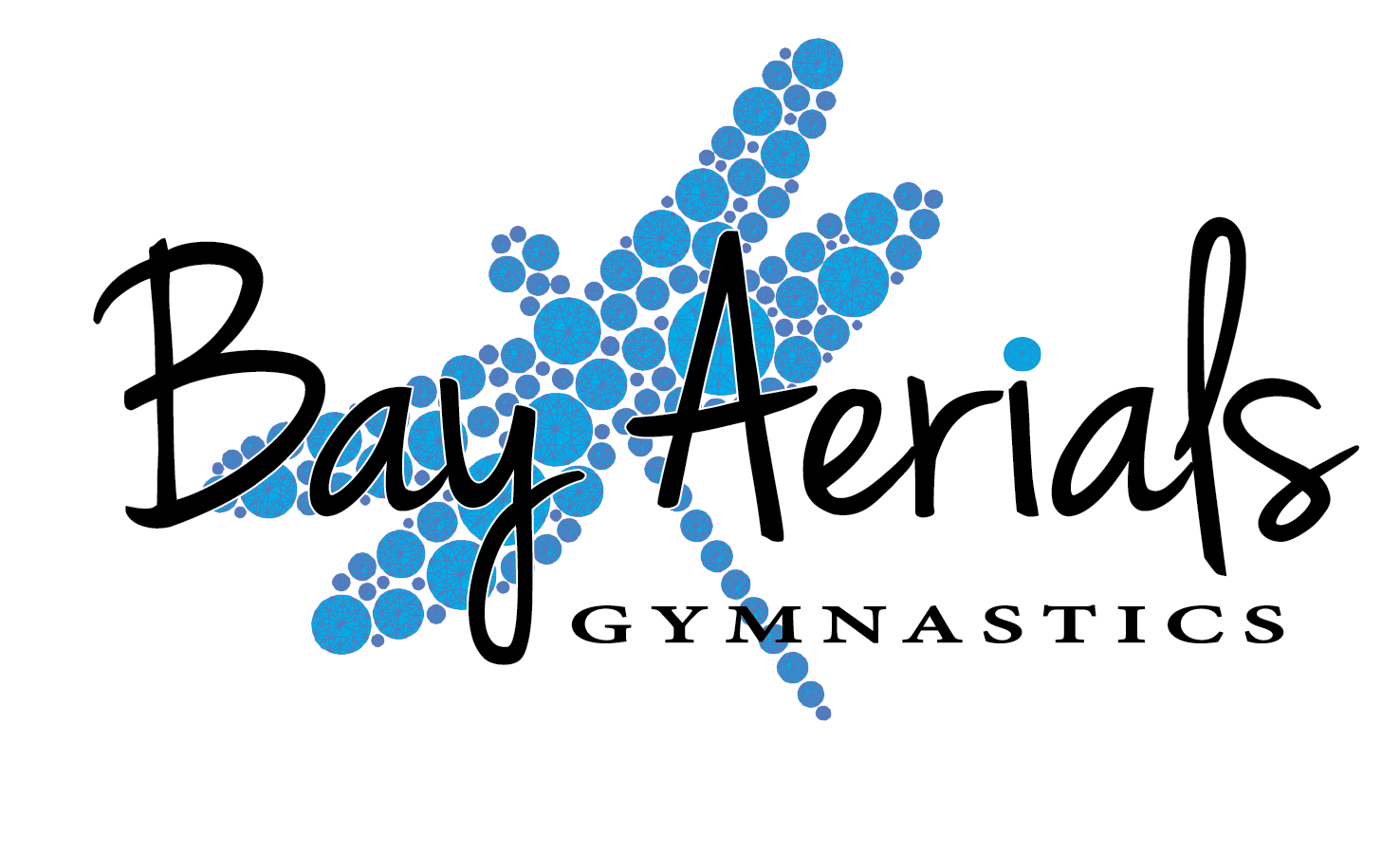Bay Aerials Gymnastics logo with a blue dot dragonfly.