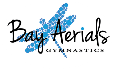 Bay Aerials Gymnastics logo with a blue dot dragonfly. 