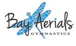 Bay Aerials Gymnastics logo with a dragonfly made of blue circles.
