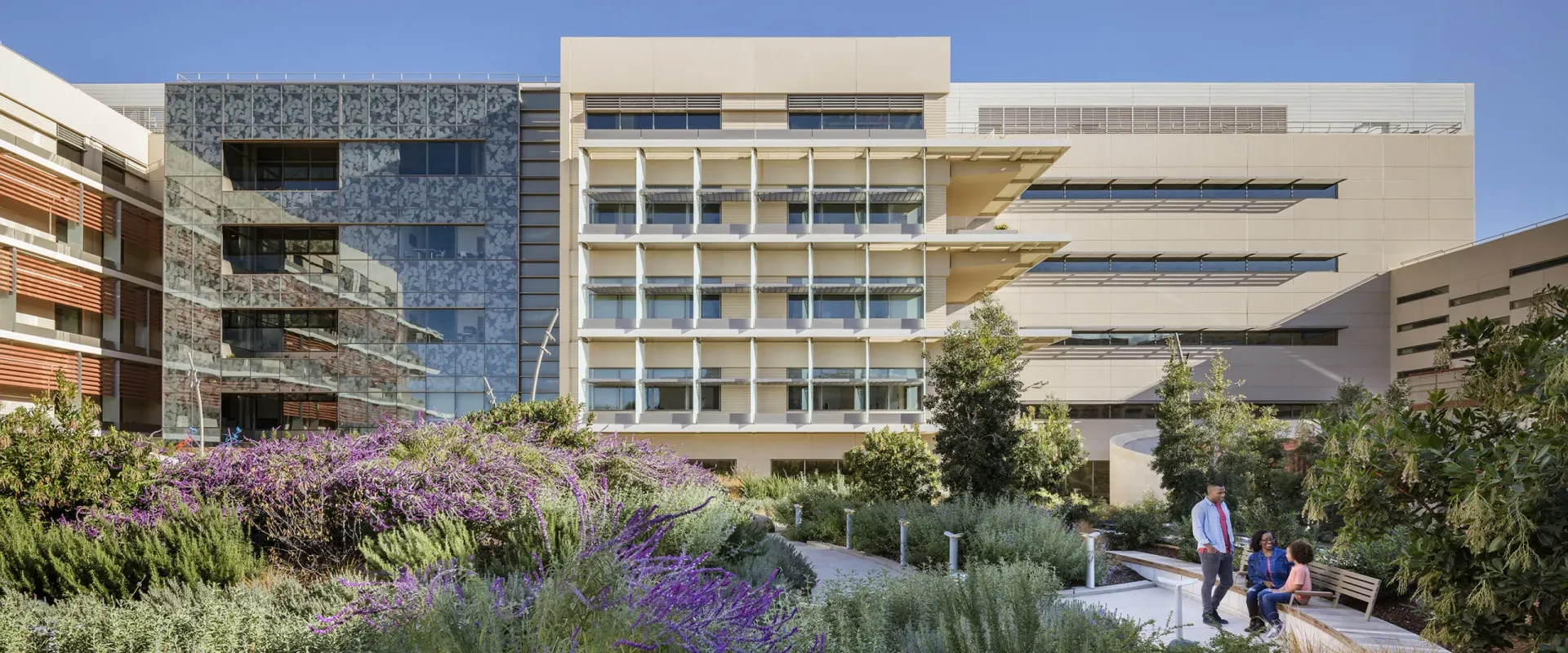 Modern campus buildings with a garden of purple flowers and people walking outside