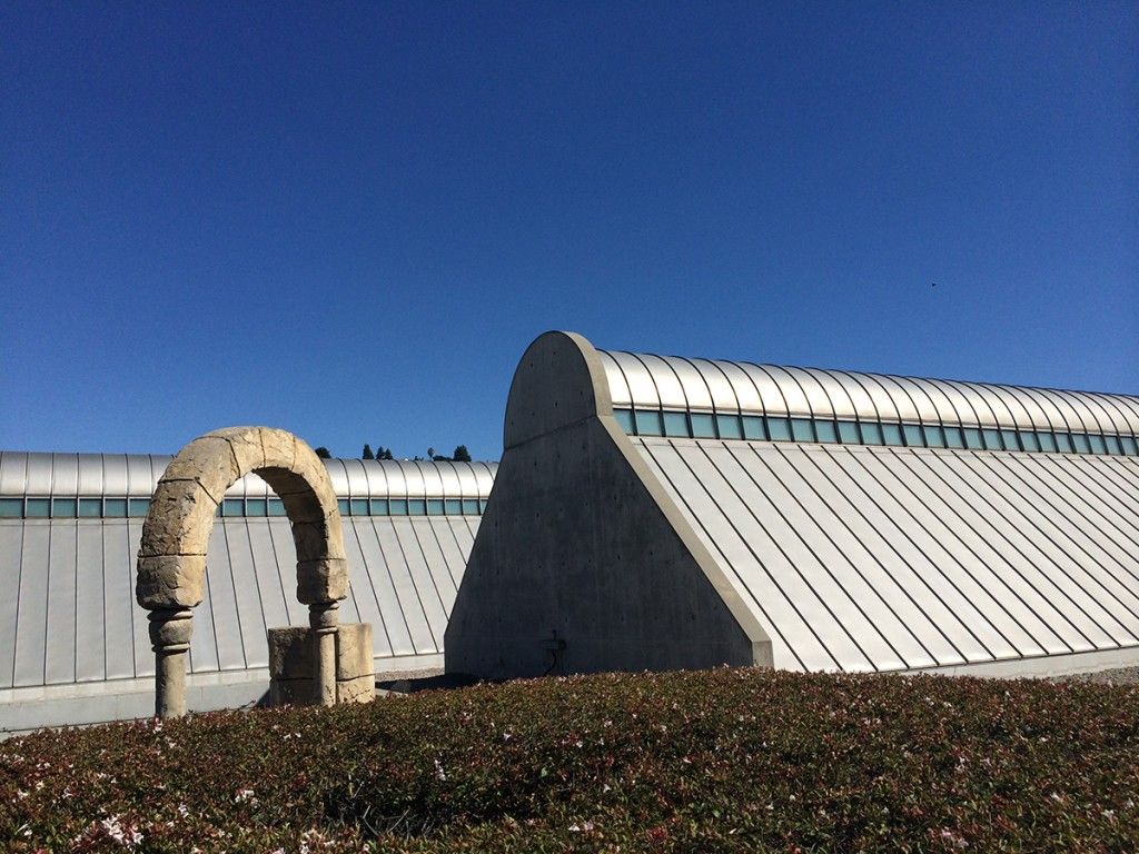 Modern glass airport terminal with a curved roof under a blue sky, taxis parked outside.
