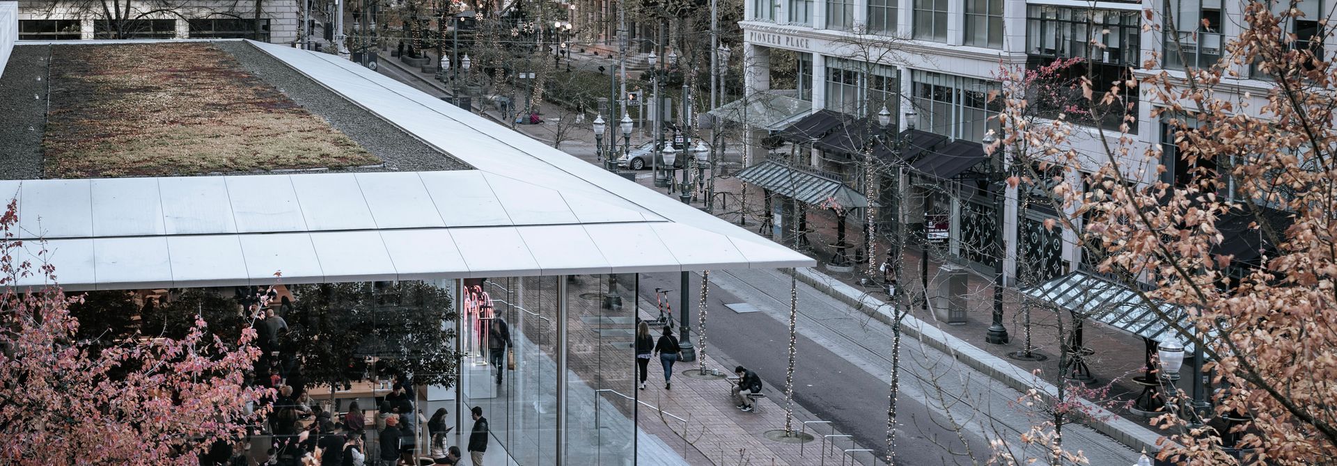 Snowy urban street with cherry blossoms, buildings, and a white canopy walkway overhead