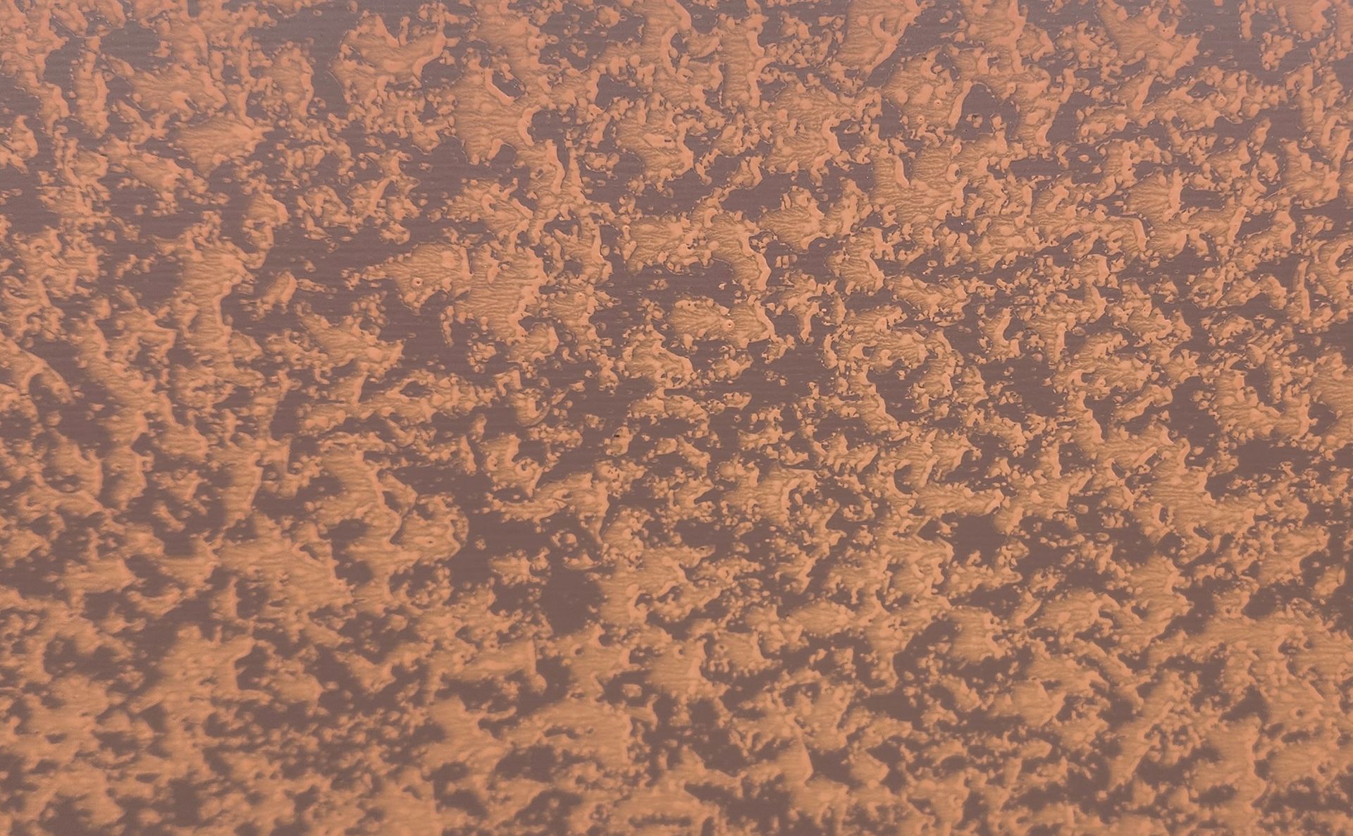Mottled orange-brown textured surface with scattered darker speckles