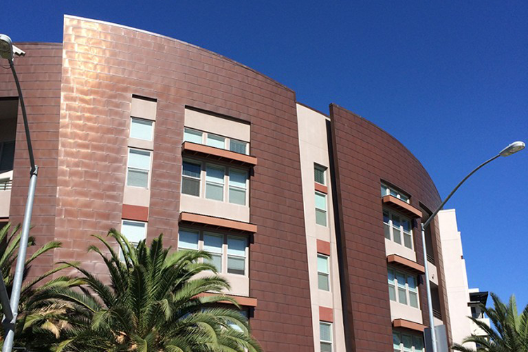 Modern brick apartment building with curved facade, palm trees, and a clear blue sky
