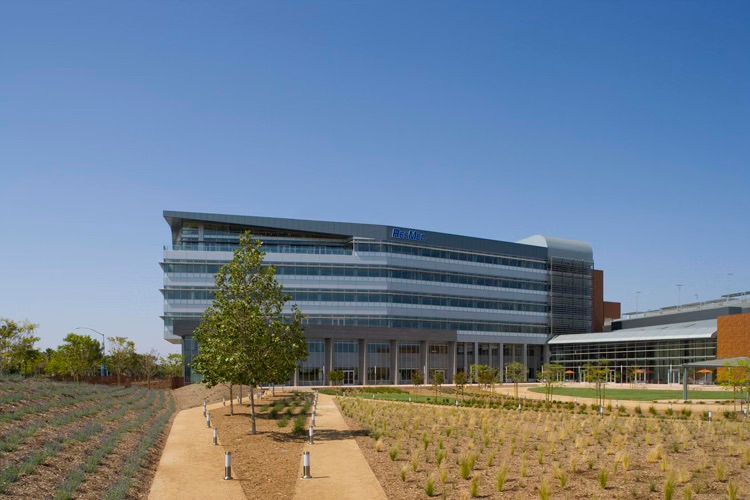 Modern glass office building with landscaped grounds and a clear blue sky