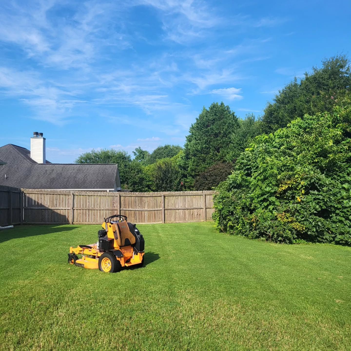 A yellow zero-turn mower sits on a neatly mowed residential lawn in front of a wooden fence and a large, leafy tree.