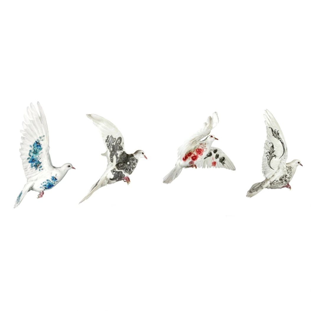 taxidermy bird, taxidermy dove, London art, taxidermy art, dove with images on, illustrated doves.