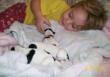 Kid taking care of puppy — Abilene, KS — Paws -N-Claws