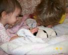 Two kids watching the puppies — Abilene, KS — Paws -N-Claws