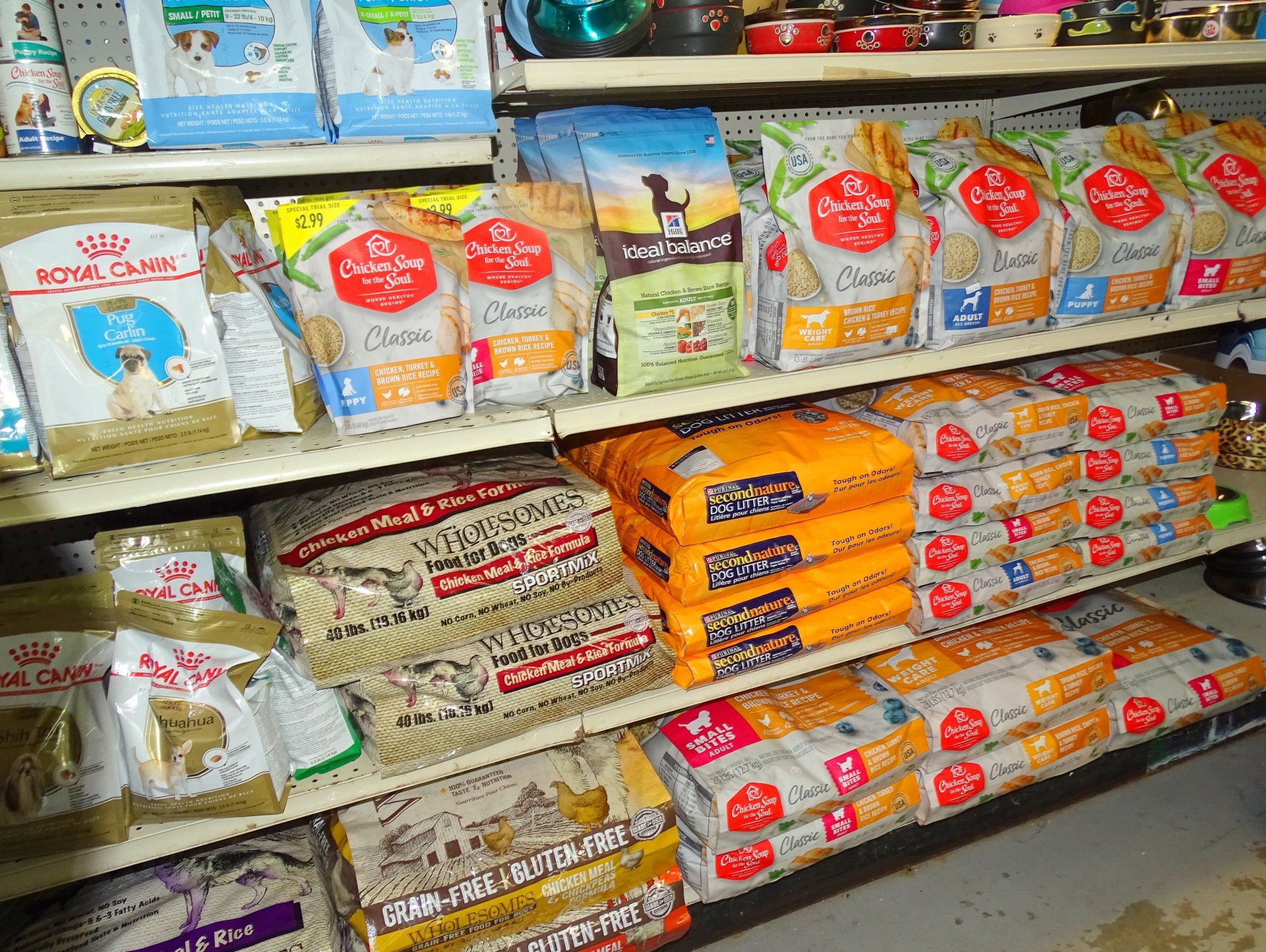 Variety of pet animals — Abilene, KS — Paws -N-Claws