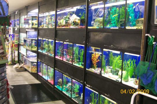 Aquarium — Abilene, KS — Paws -N-Claws