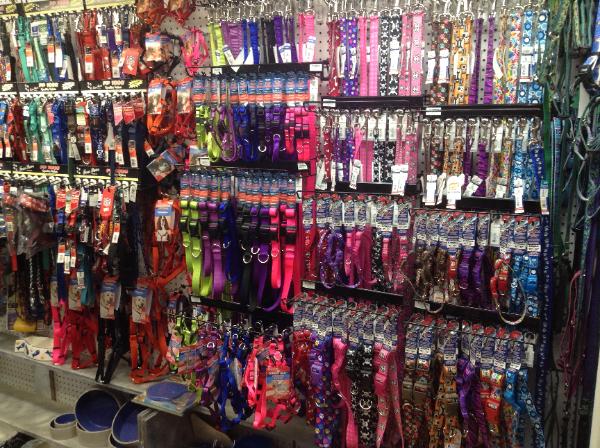 Variety of collar — Abilene, KS — Paws -N-Claws