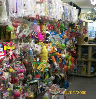 Toy dog — Abilene, KS — Paws -N-Claws