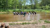 Rowers in a long boat race across a muddy river, with trees lining the far bank.