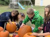 Children carving orange pumpkins outdoors on a lawn