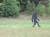 Dark-clad figure walking across a grassy field near trees