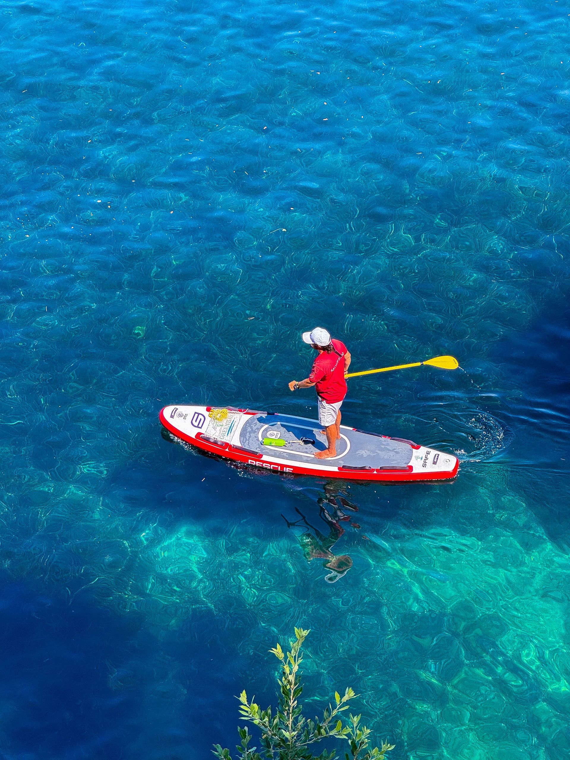 Paddleboard Rentals