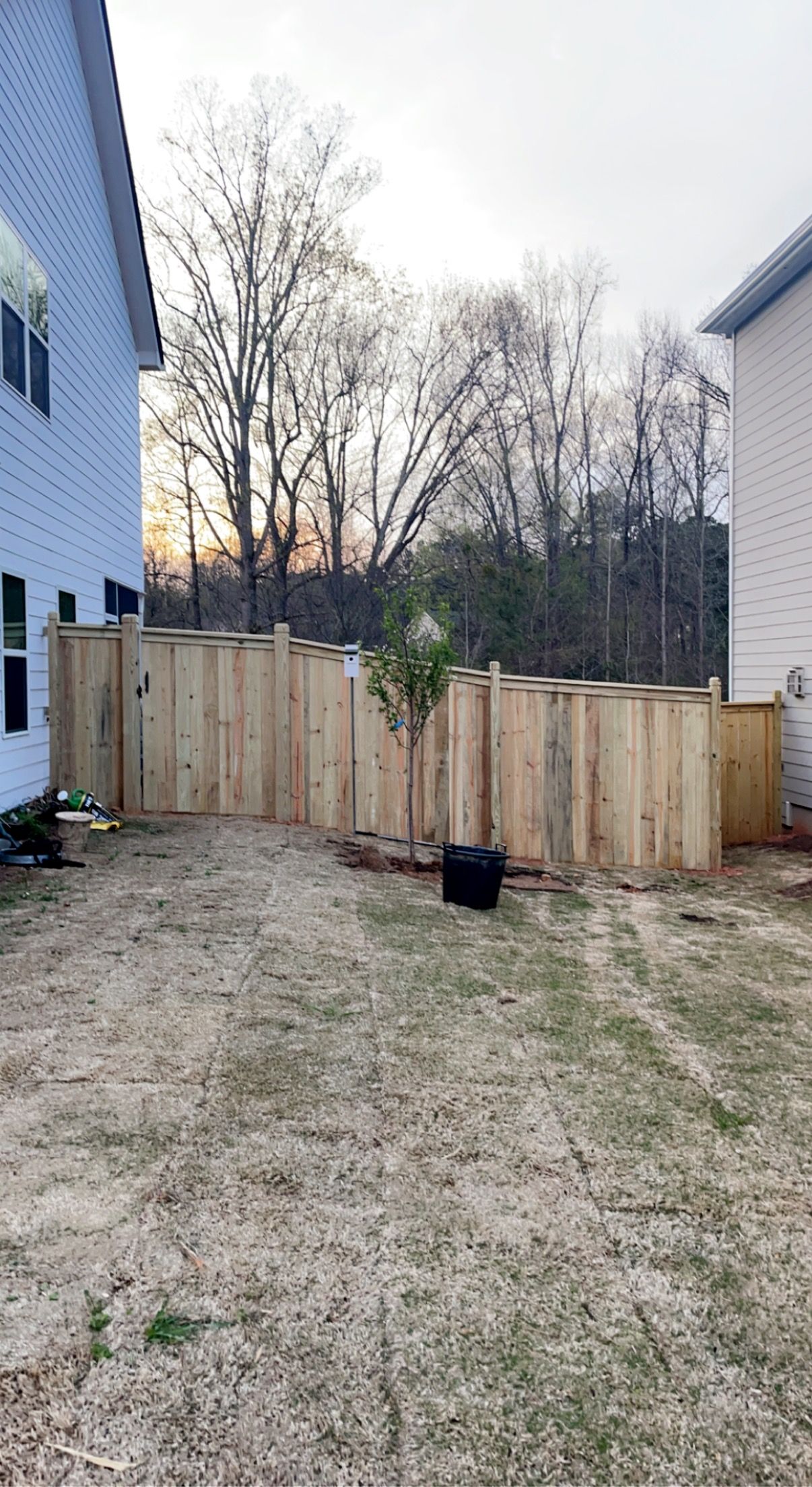 Wood Fence in Backyard
