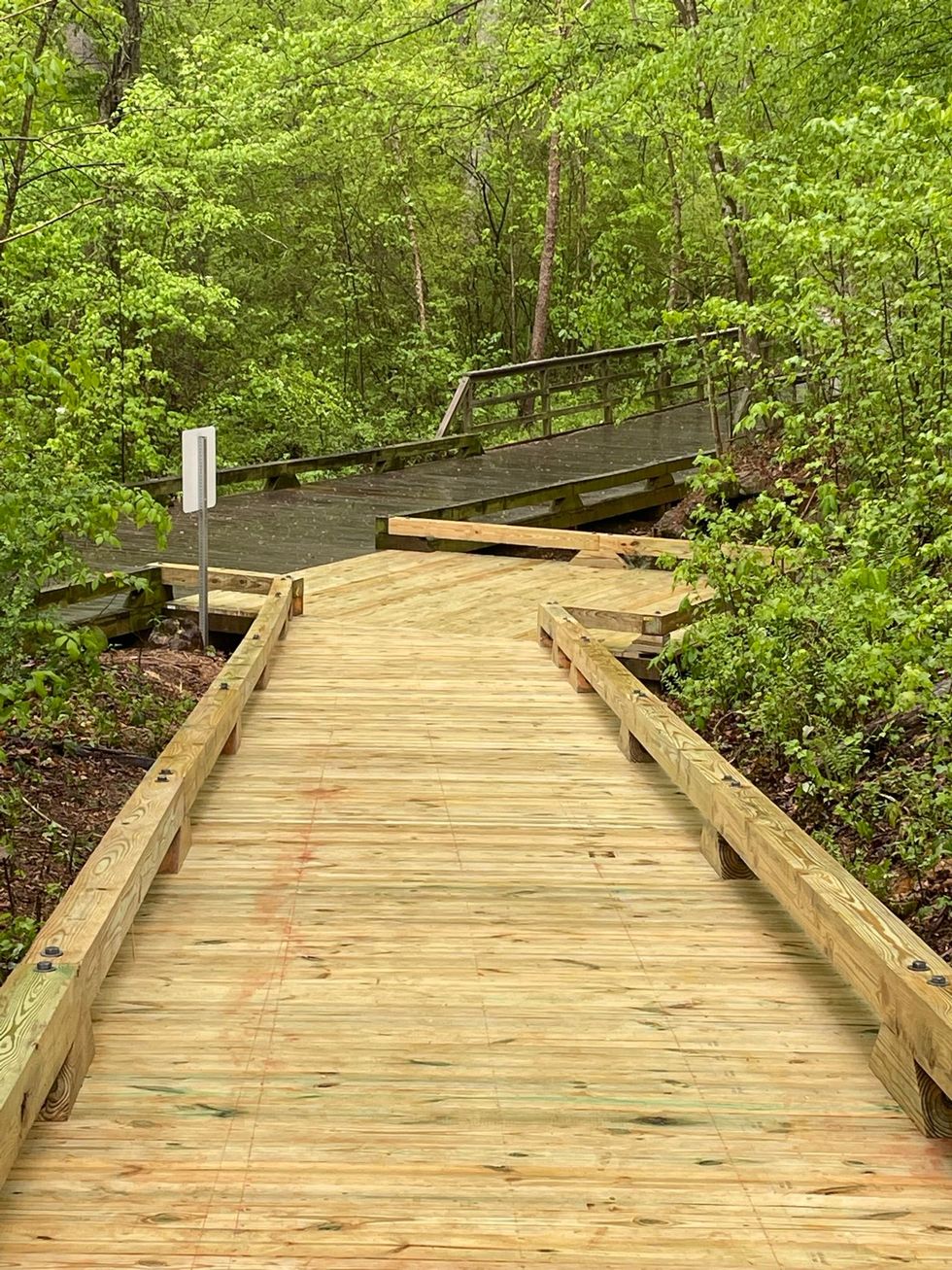 Wood Walkway