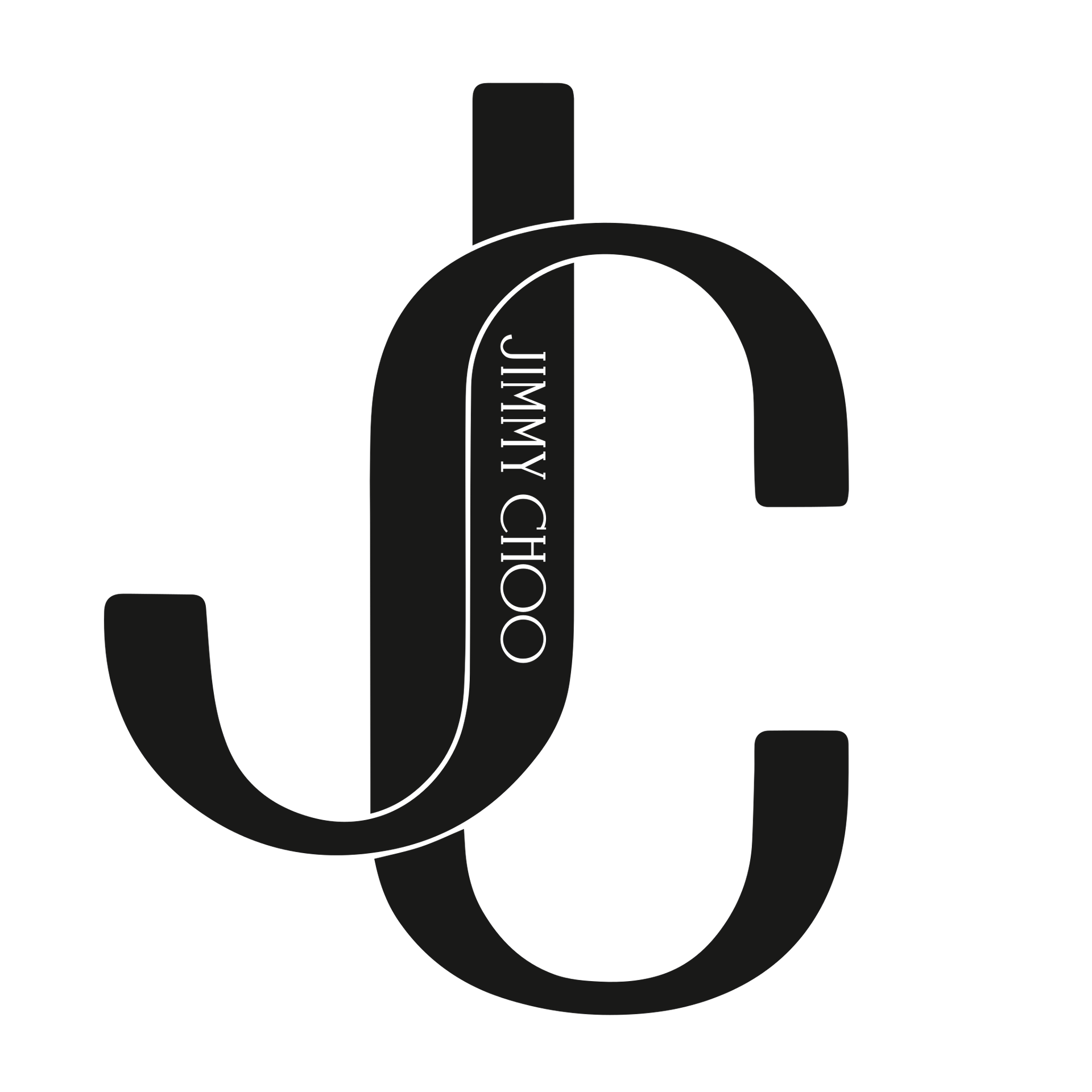 Jimmy Choo Glasses Logo