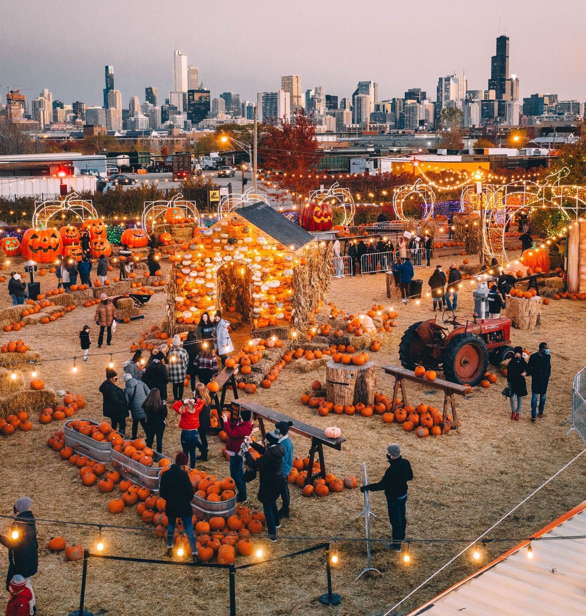 Crowded pumpkin patch festival at sunset with hay bales, string lights, and a city skyline in the background