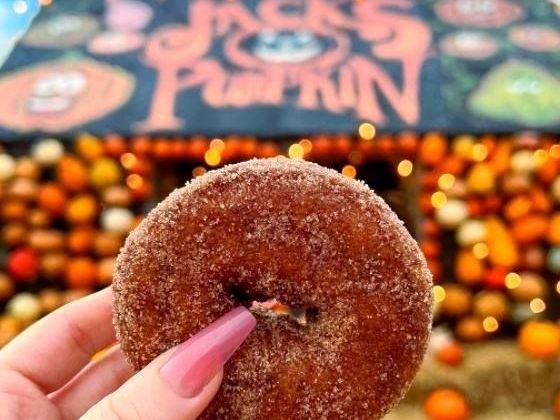 Hand holding a sugar-dusted donut with a blurred Halloween pumpkin display in the background