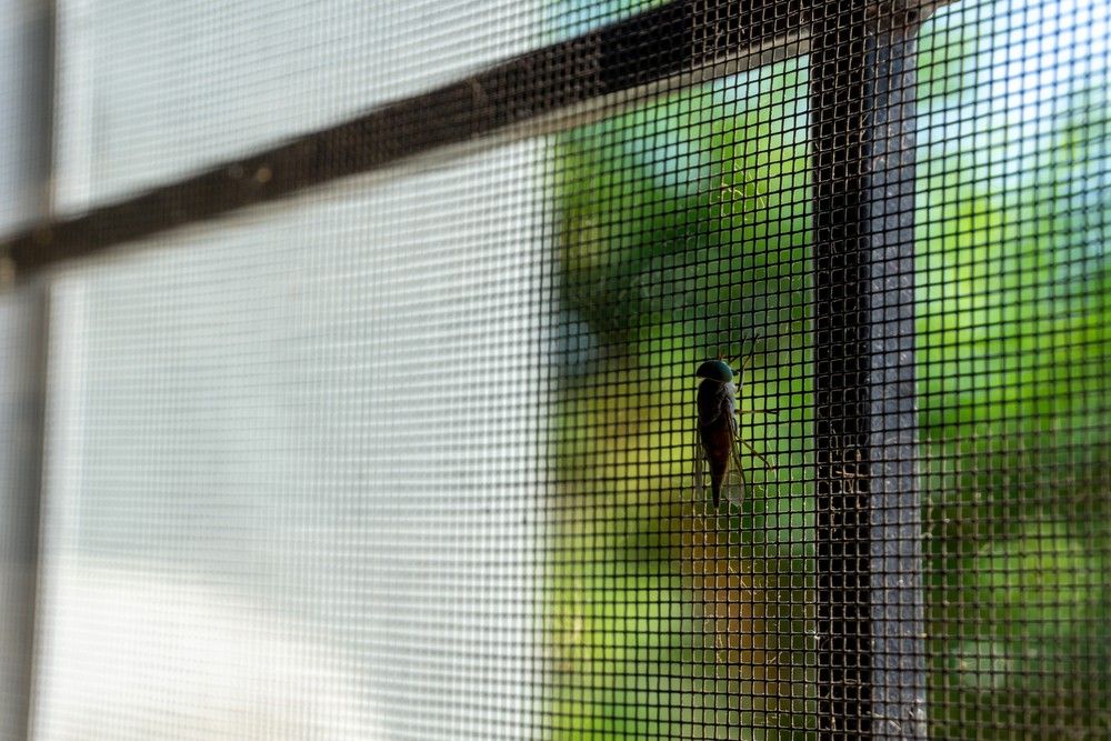 A Close Up of a Mosquito Screen on a Window — Whitsunday Screens & Grilles In Proserpine, QLD