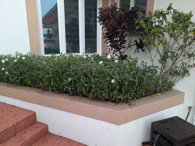 Front porch planter with green shrubs and a flowering plant beside a window and steps