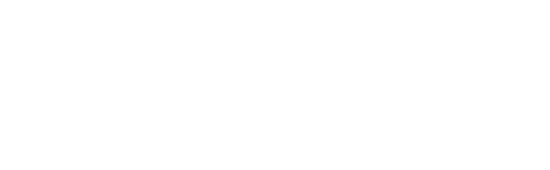Striscione rettangolare bianco con un bordo nero molto sottile sui lati sinistro e inferiore.