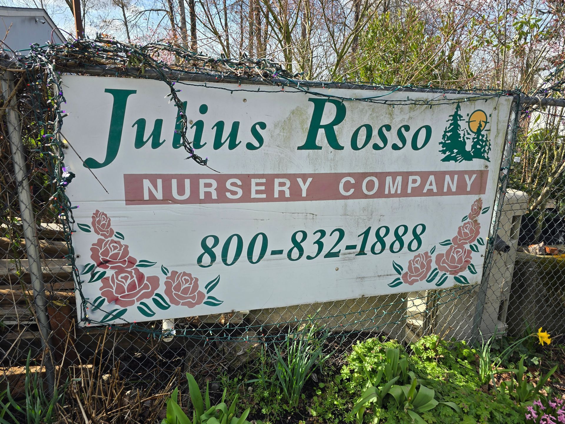 Julius Ross Nursery Company sign with phone number 800-832-1888 and floral graphics