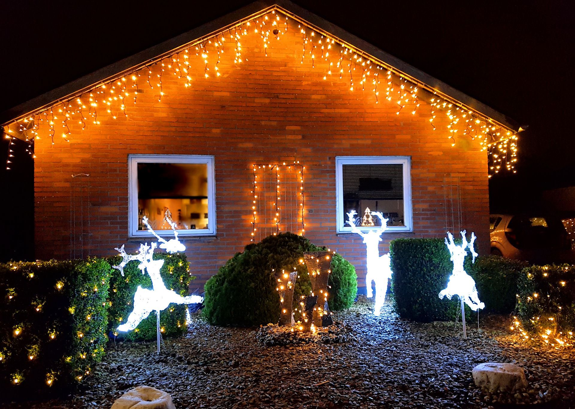 House lit with orange Christmas lights, glowing reindeer decorations, and white-lit shrubs at night