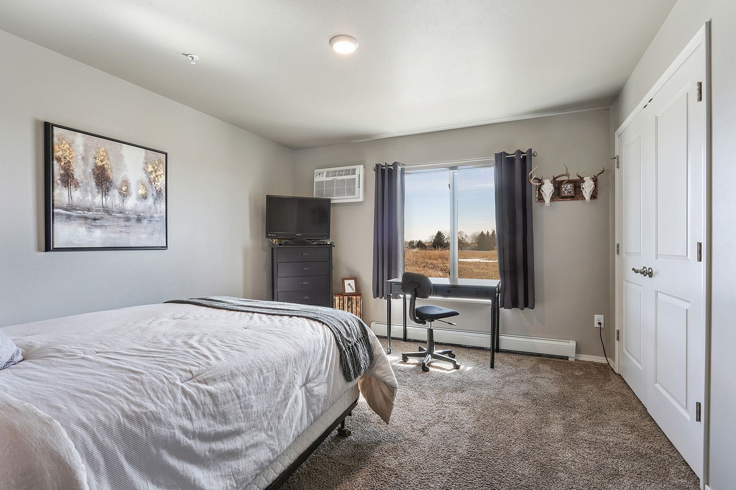 Bright bedroom with a bed, desk by the window, TV, and carpeted floor
