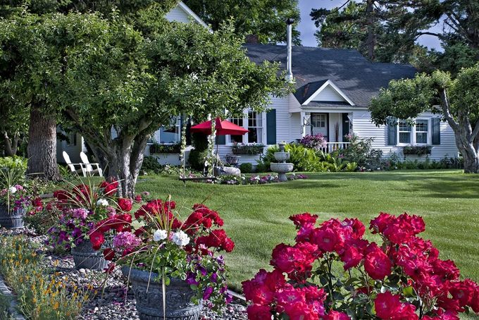A house with a lot of flowers in front of it
