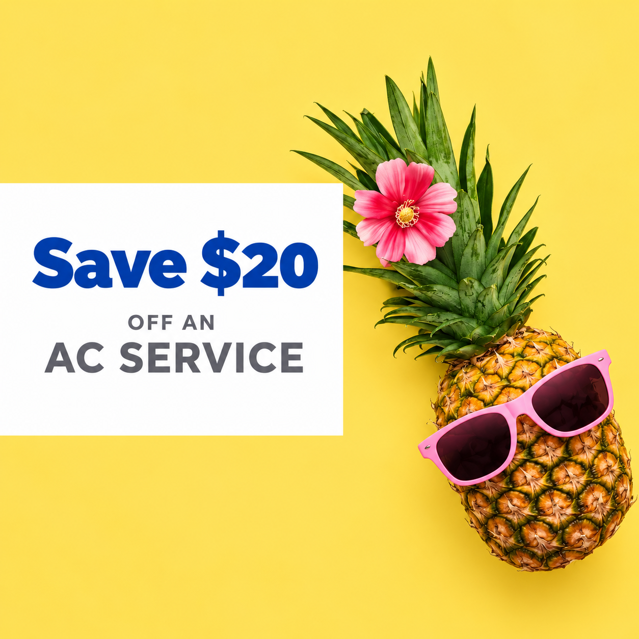Save $20 off A/C Service