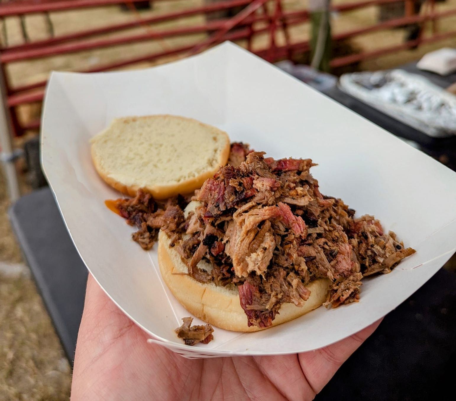 A person is holding a pulled pork sandwich in a paper container.